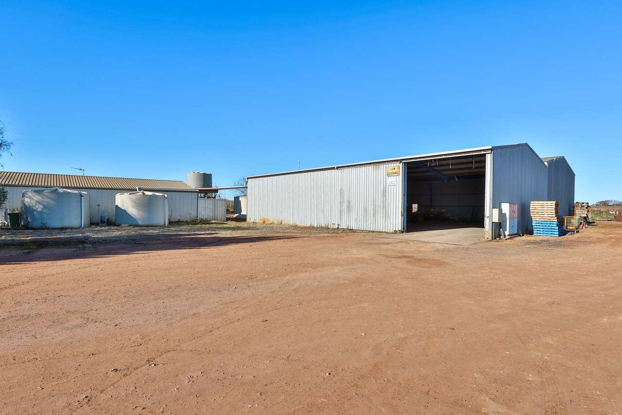87 Happy Valley Road, Robinvale For Sale by Farmbuy.com - image 24