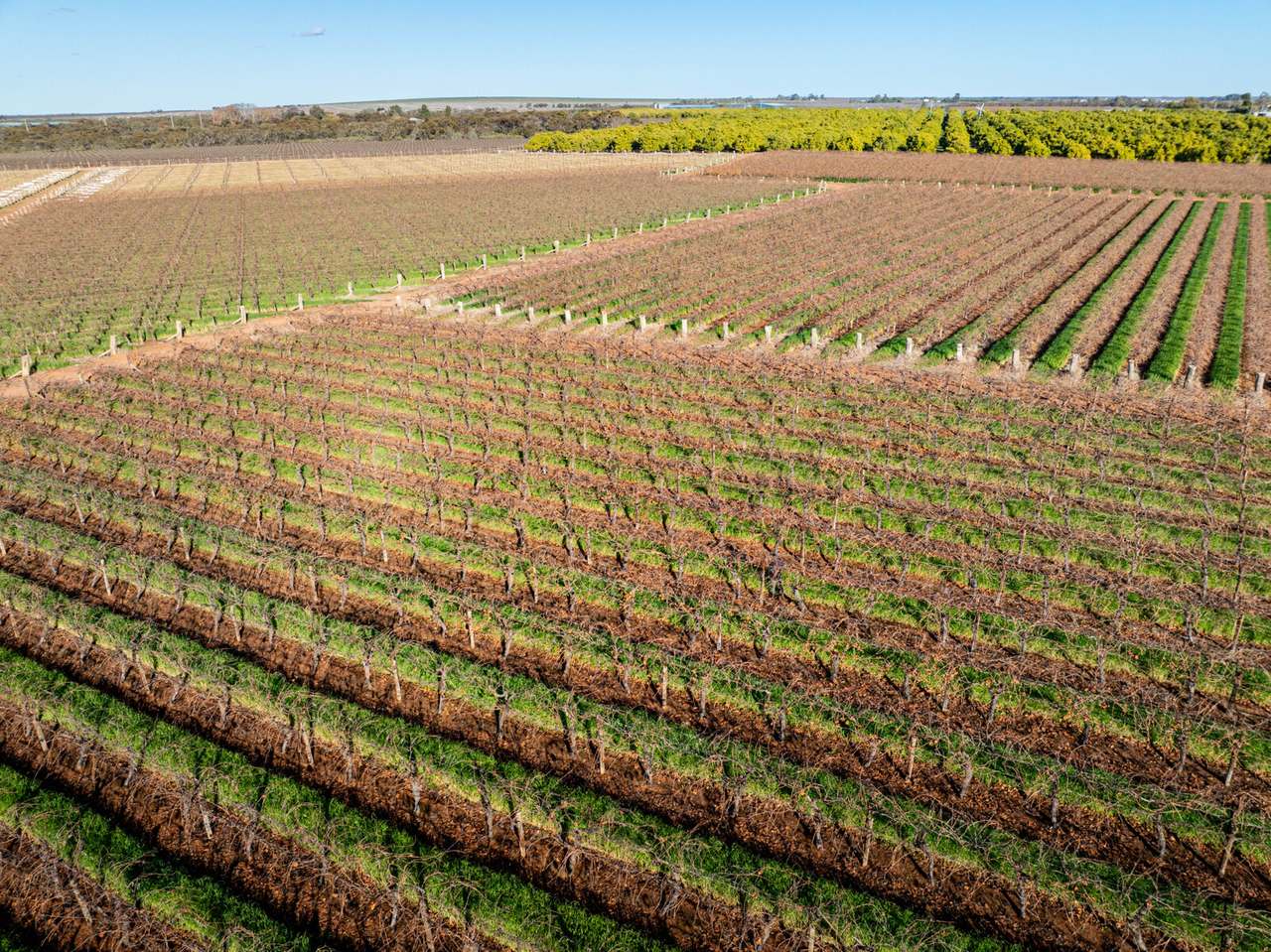 87 Happy Valley Road, Robinvale For Sale by Farmbuy.com - image 39