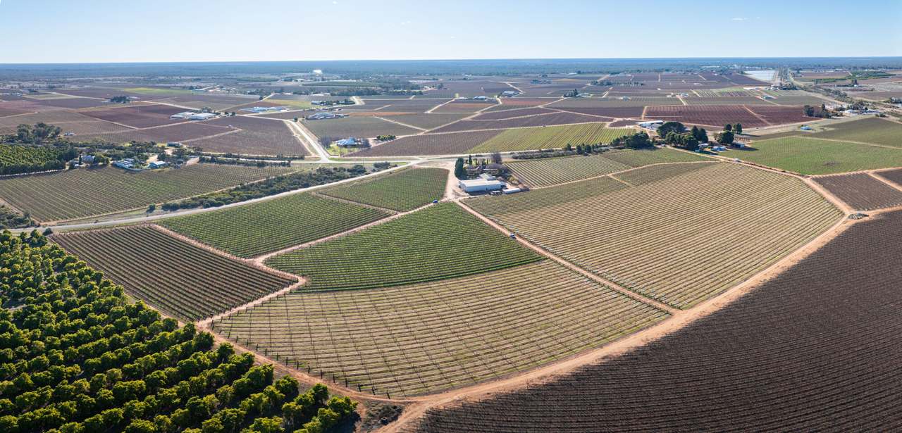 87 Happy Valley Road, Robinvale For Sale by Farmbuy.com - image 31