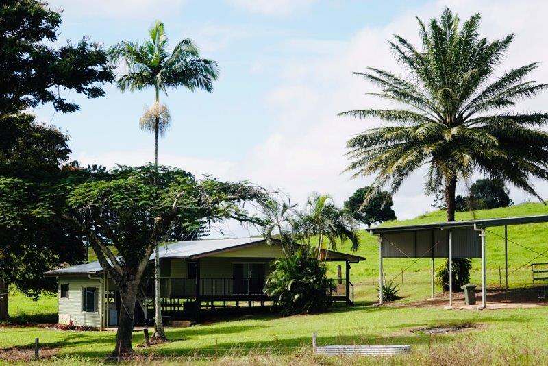 1297 Mossman-Mount Molloy Road, Julatten For Sale by Farmbuy.com - image 13