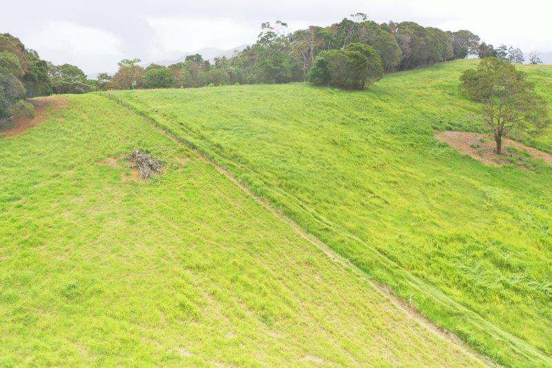 1297 Mossman-Mount Molloy Road, Julatten For Sale by Farmbuy.com - image 22