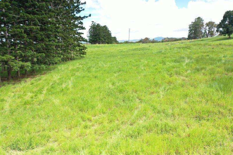 1297 Mossman-Mount Molloy Road, Julatten For Sale by Farmbuy.com - image 30