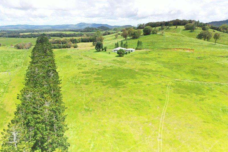 1297 Mossman-Mount Molloy Road, Julatten For Sale by Farmbuy.com - image 27