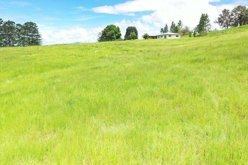 1297 Mossman-Mount Molloy Road, Julatten For Sale by Farmbuy.com - image 25