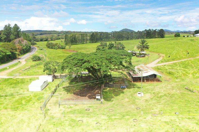 1297 Mossman-Mount Molloy Road, Julatten For Sale by Farmbuy.com - image 24