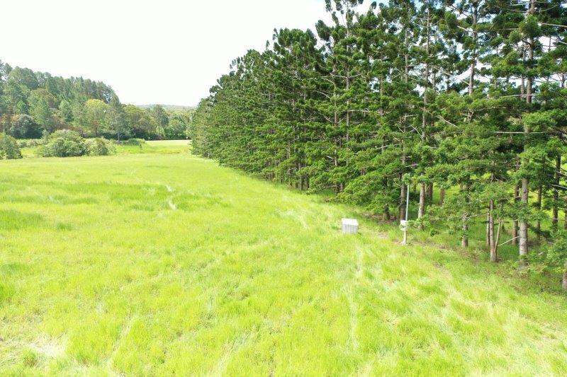 1297 Mossman-Mount Molloy Road, Julatten For Sale by Farmbuy.com - image 29