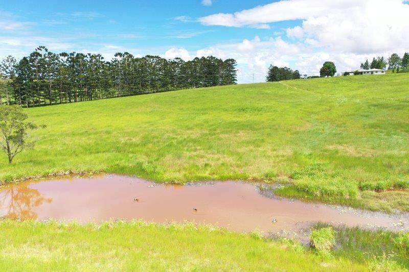 1297 Mossman-Mount Molloy Road, Julatten For Sale by Farmbuy.com - image 26