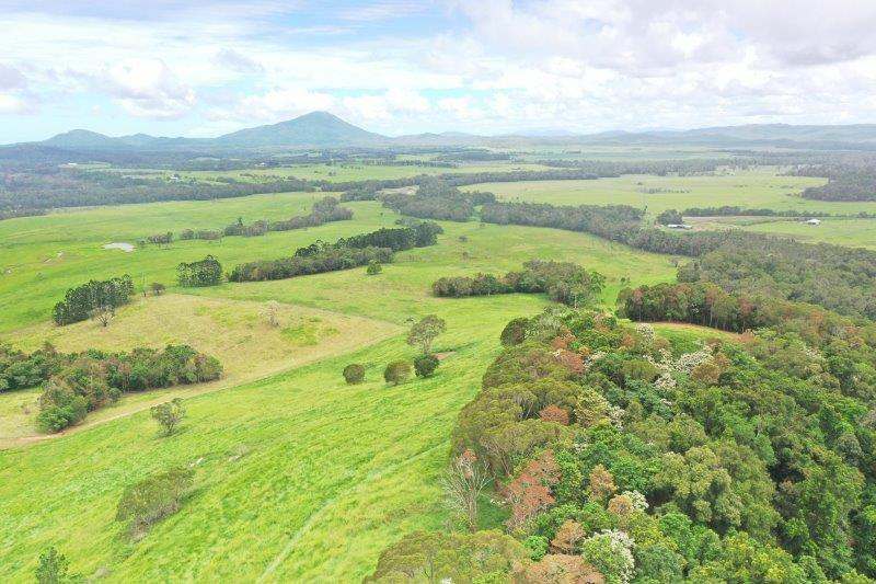 1297 Mossman-Mount Molloy Road, Julatten For Sale by Farmbuy.com - image 19