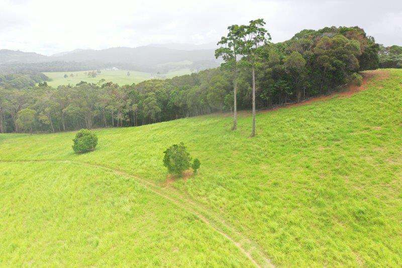 1297 Mossman-Mount Molloy Road, Julatten For Sale by Farmbuy.com - image 21