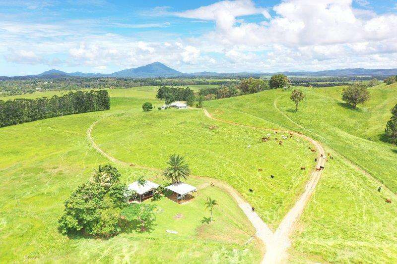 1297 Mossman-Mount Molloy Road, Julatten For Sale by Farmbuy.com - image 23