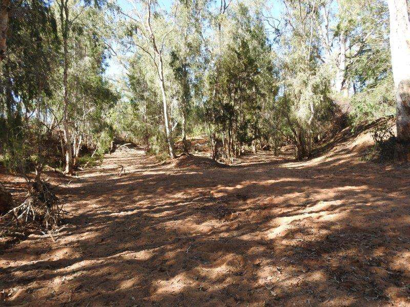 Great Britain Road, Southern Cross Sold by Farmbuy.com - image 12