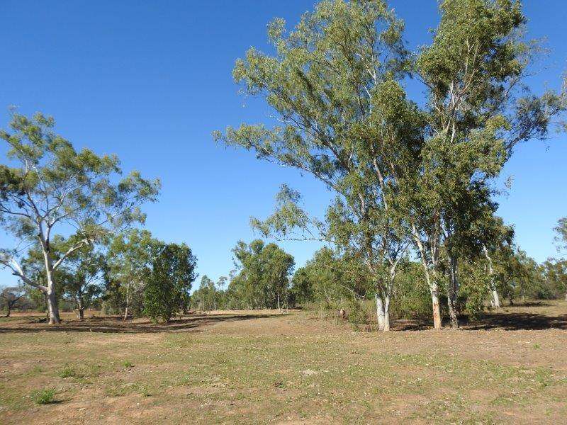 Great Britain Road, Southern Cross Sold by Farmbuy.com - image 14