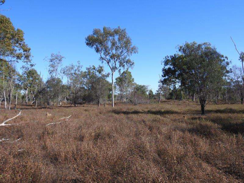 Great Britain Road, Southern Cross Sold by Farmbuy.com - image 7