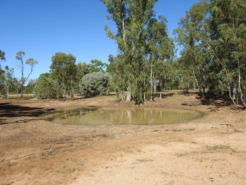 Great Britain Road, Southern Cross Sold by Farmbuy.com - image 15