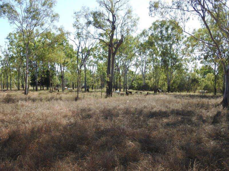Great Britain Road, Southern Cross Sold by Farmbuy.com - image 17