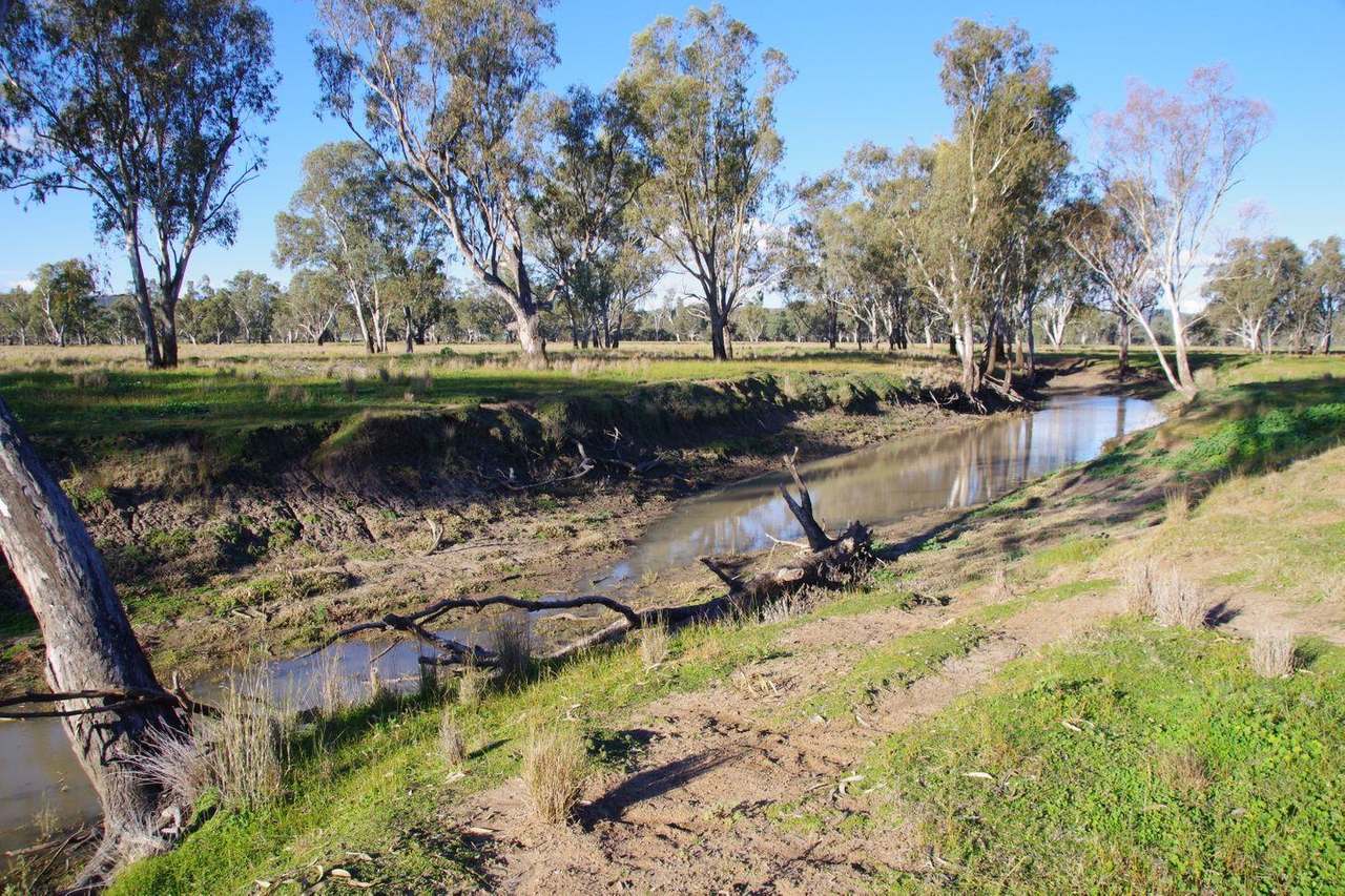 207 Henriendi Lane, Narrabri Sold by Farmbuy.com - image 26