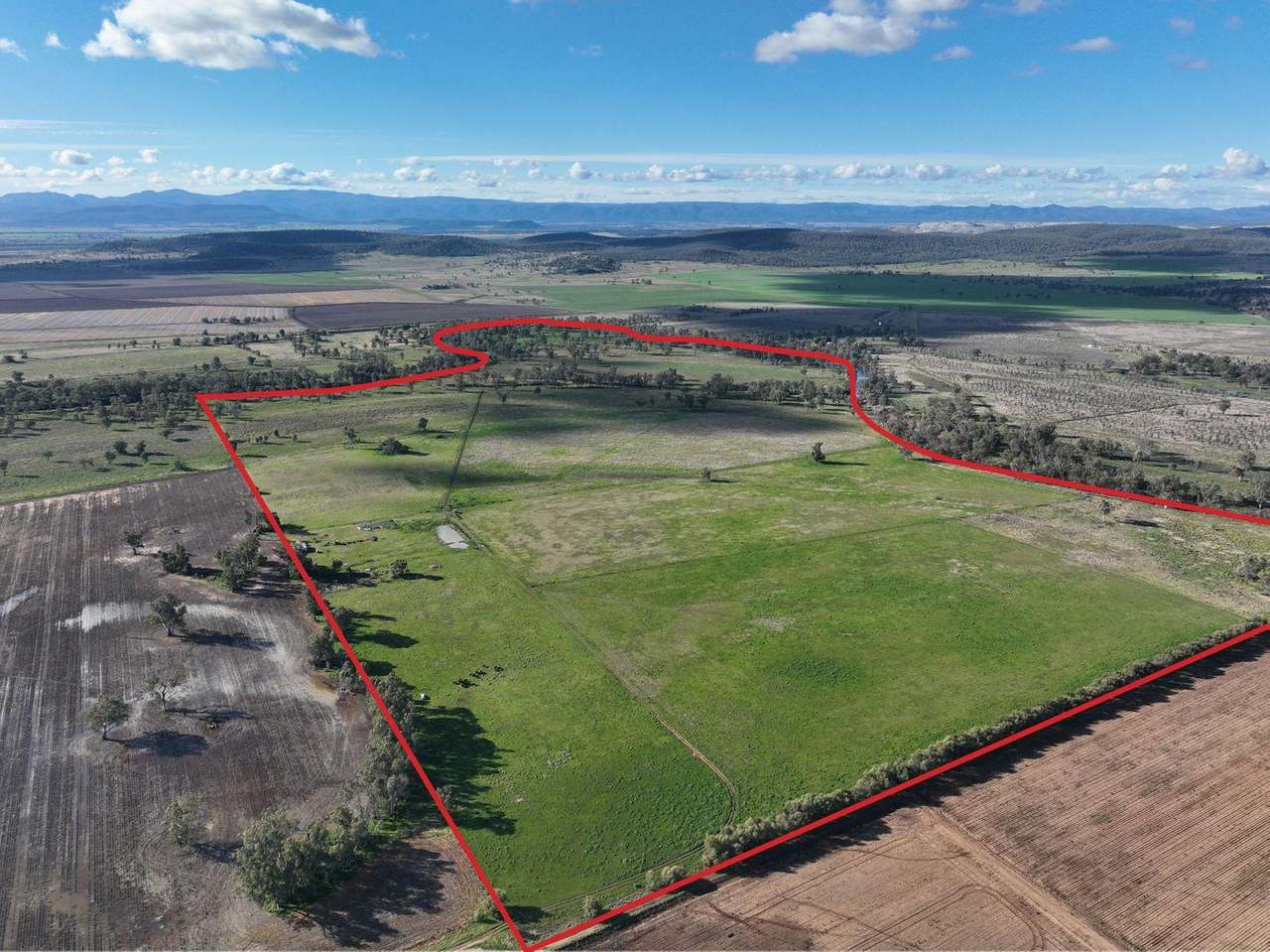 207 Henriendi Lane, Narrabri Sold by Farmbuy.com - image 2