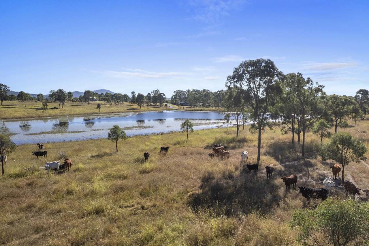 160 Harvey Road, Lower Wonga Sold by Farmbuy.com - image 21