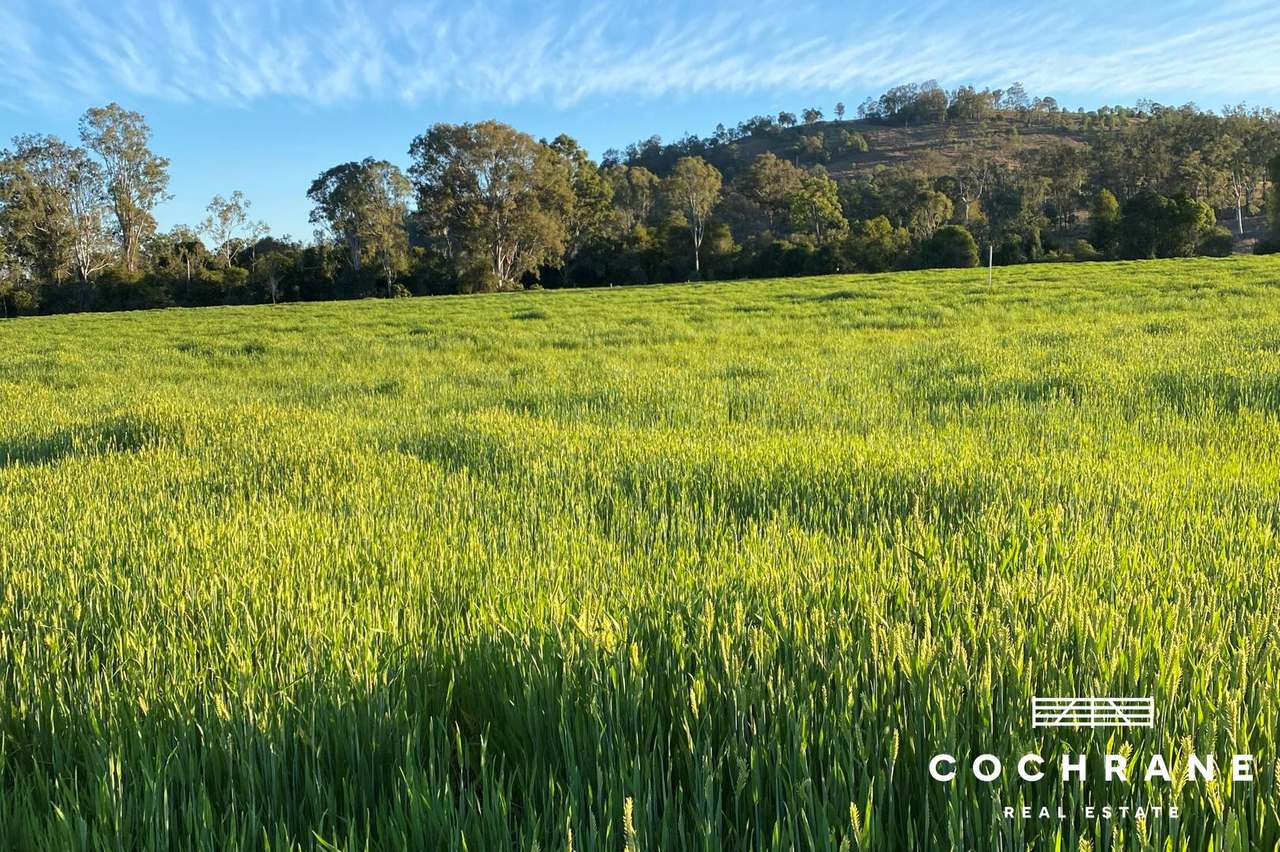 Mary River Irrigation Country, Sexton For Sale by Farmbuy.com - image 4