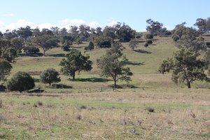 Lallybroch, Tamworth  For Sale by Farmbuy.com - image 5