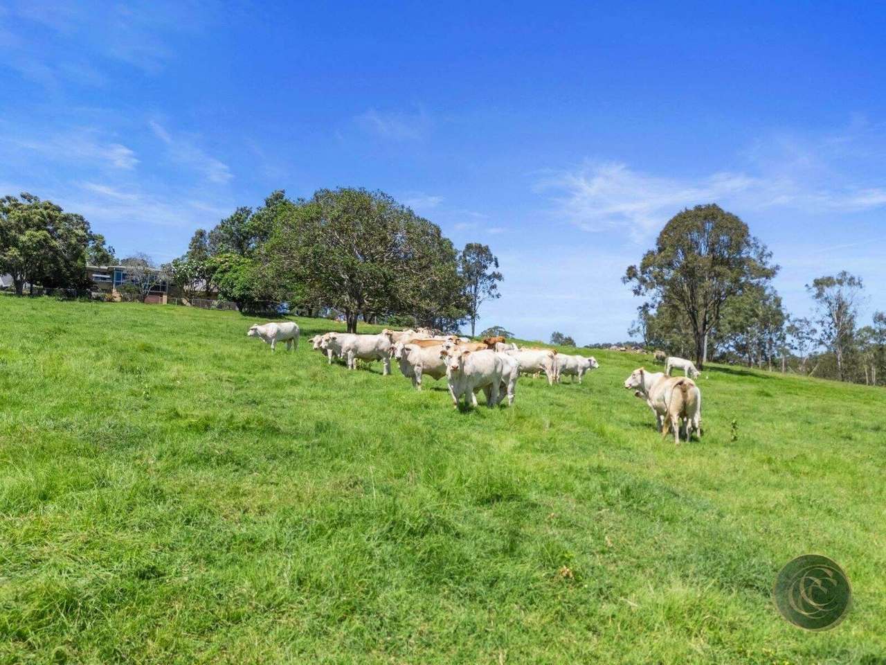 547 Rocks Road, Pie Creek For Sale by Farmbuy.com - image 5
