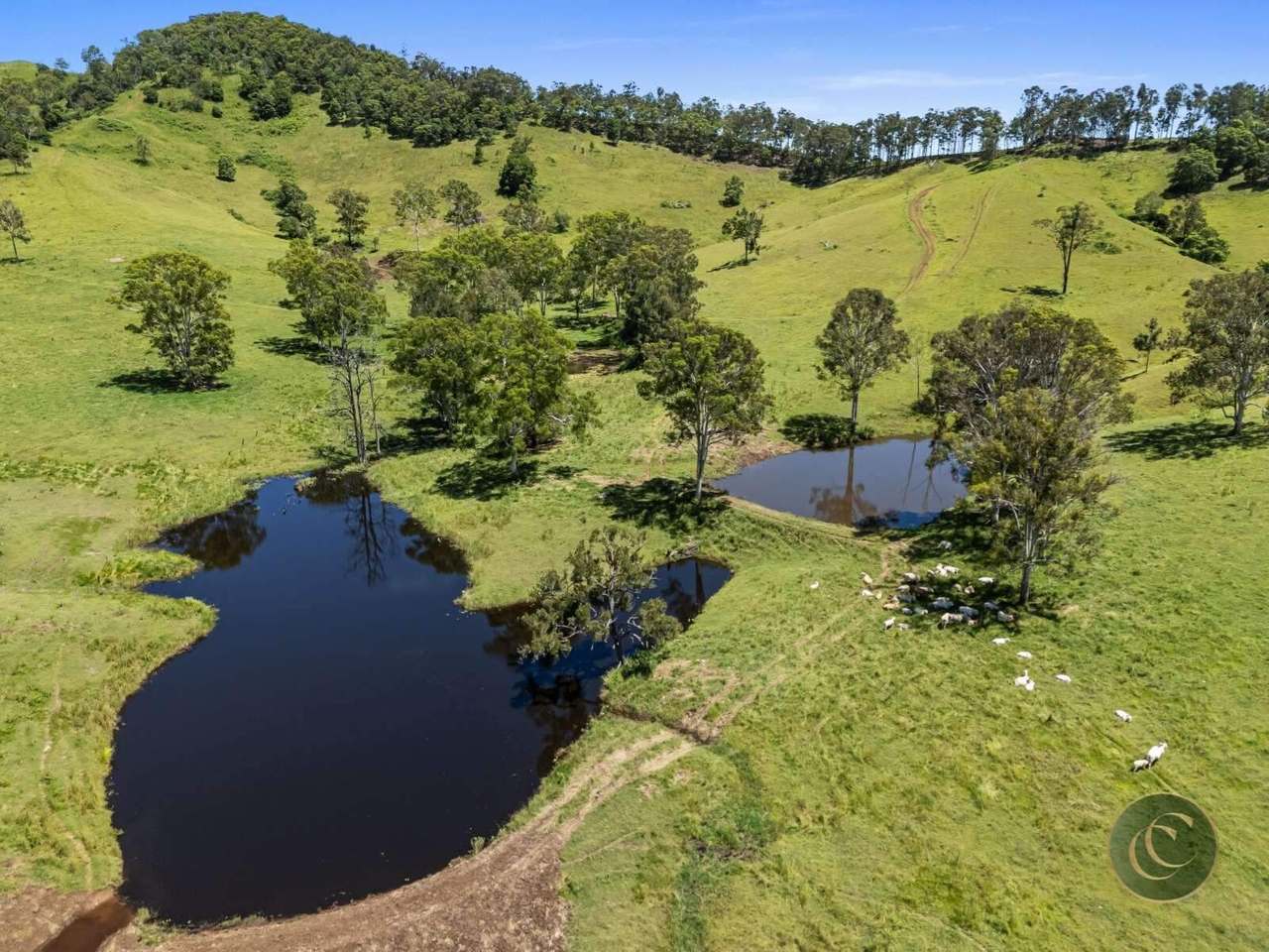 547 Rocks Road, Pie Creek For Sale by Farmbuy.com - image 17