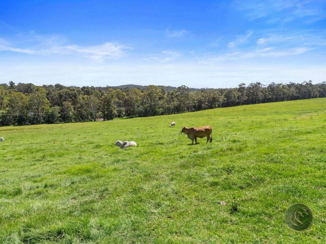 547 Rocks Road, Pie Creek For Sale by Farmbuy.com - image 4