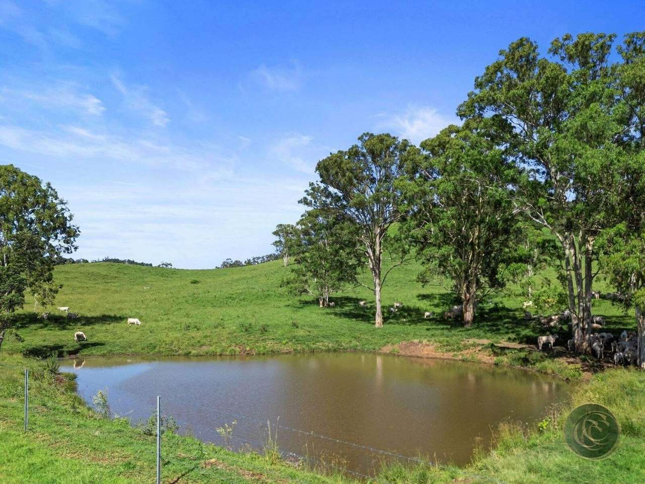 547 Rocks Road, Pie Creek For Sale by Farmbuy.com - image 16