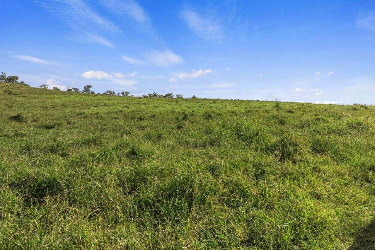 547 Rocks Road, Pie Creek For Sale by Farmbuy.com - image 20