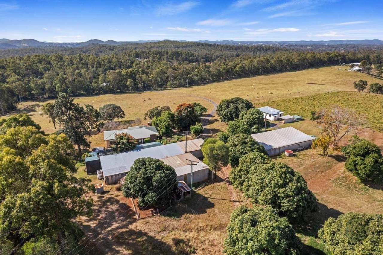 547 Rocks Road, Pie Creek For Sale by Farmbuy.com - image 18