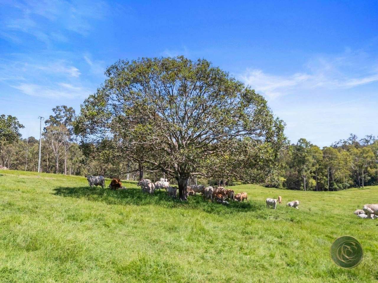 547 Rocks Road, Pie Creek For Sale by Farmbuy.com - image 11