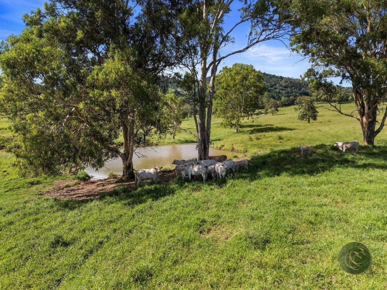 547 Rocks Road, Pie Creek For Sale by Farmbuy.com - image 25