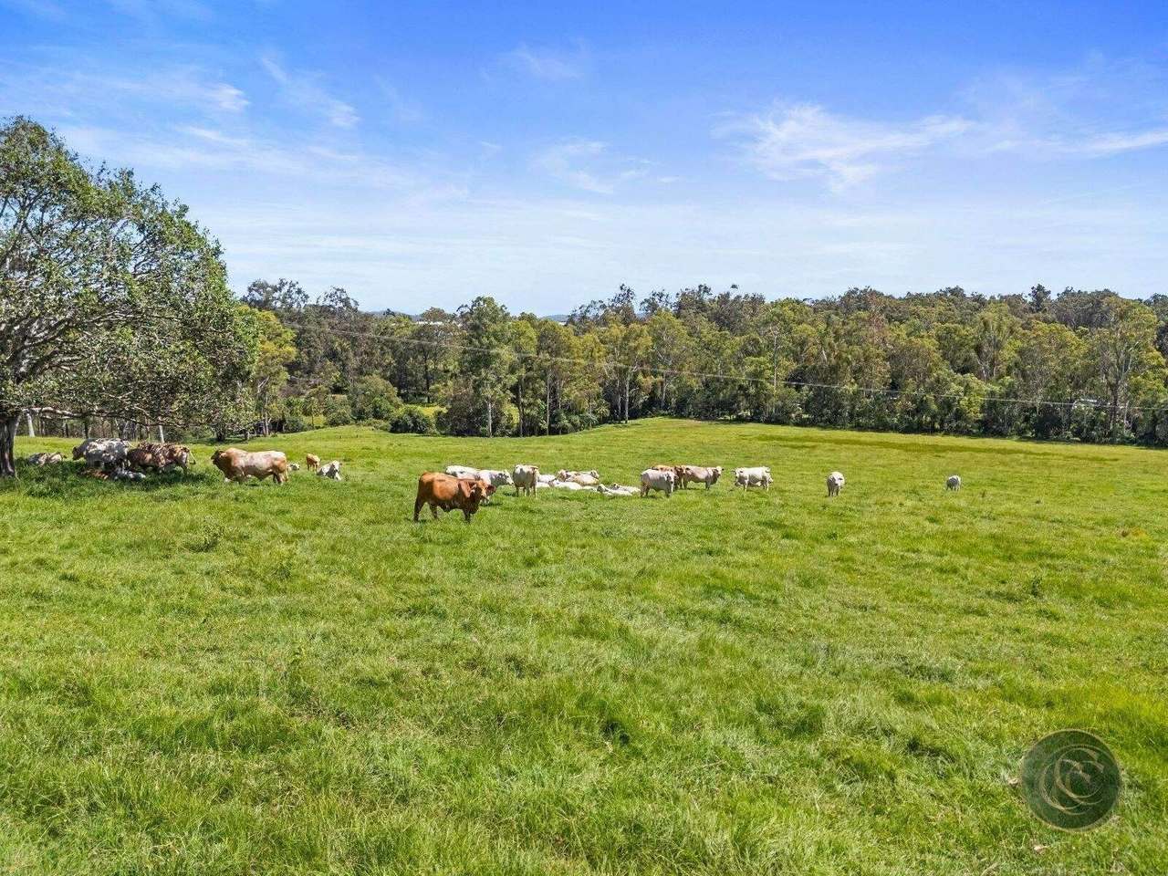 547 Rocks Road, Pie Creek For Sale by Farmbuy.com - image 10