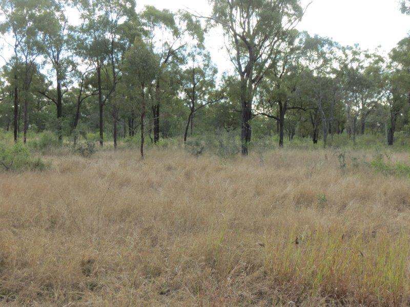 312 Anabranch Road, Breddan Sold by Farmbuy.com - image 33