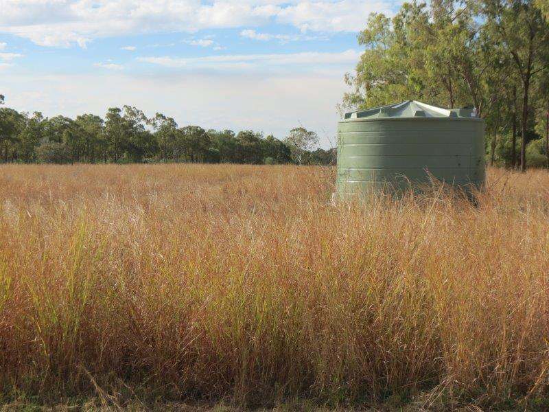 312 Anabranch Road, Breddan Sold by Farmbuy.com - image 31