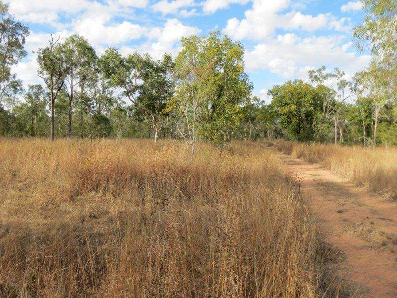 312 Anabranch Road, Breddan Sold by Farmbuy.com - image 37