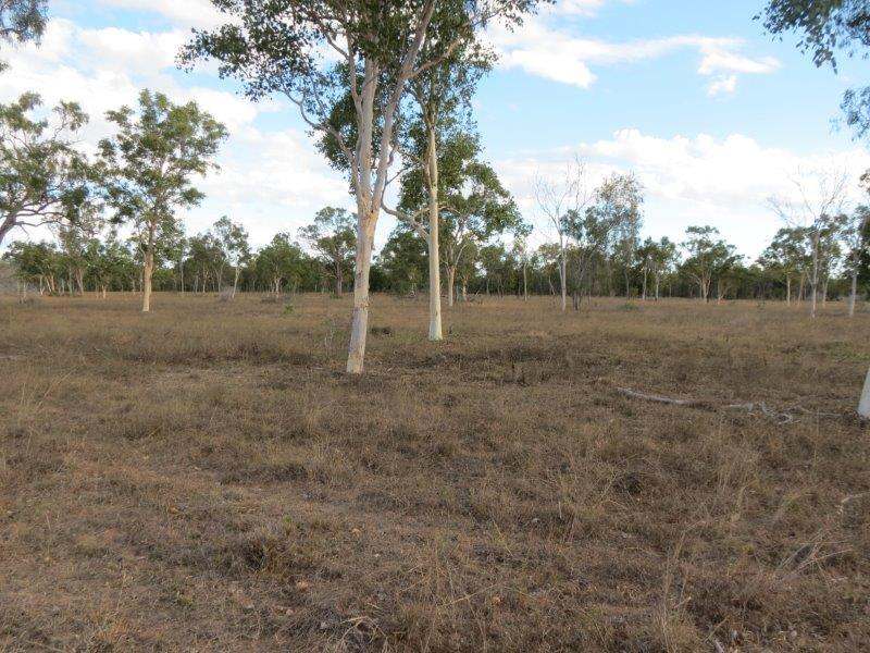 312 Anabranch Road, Breddan Sold by Farmbuy.com - image 38