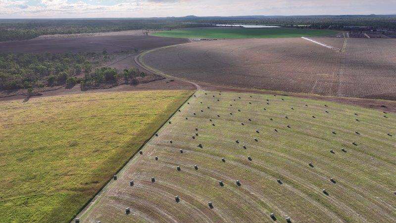 312 Anabranch Road, Breddan Sold by Farmbuy.com - image 26