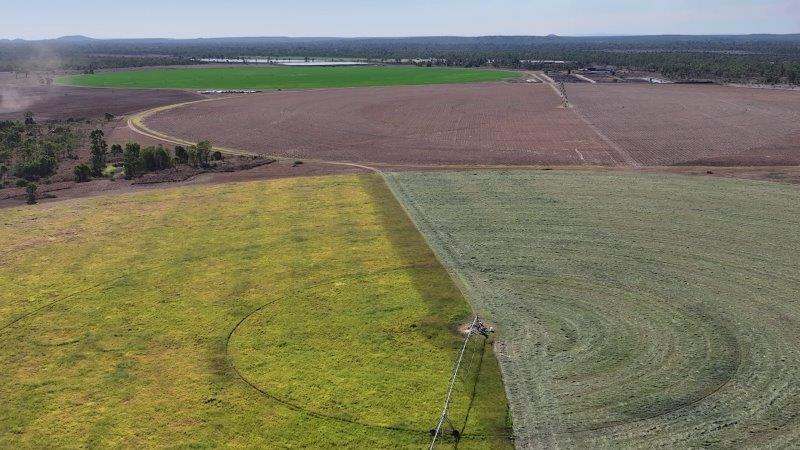 312 Anabranch Road, Breddan Sold by Farmbuy.com - image 25