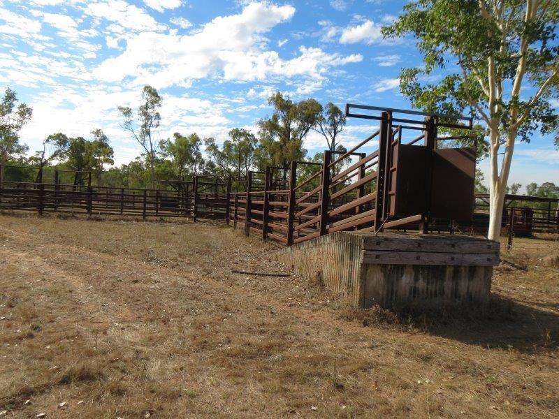 312 Anabranch Road, Breddan Sold by Farmbuy.com - image 49