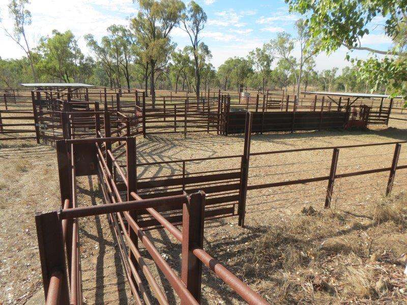 312 Anabranch Road, Breddan Sold by Farmbuy.com - image 46