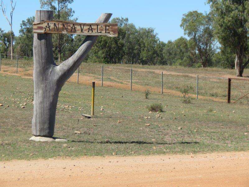 312 Anabranch Road, Breddan Sold by Farmbuy.com - image 30