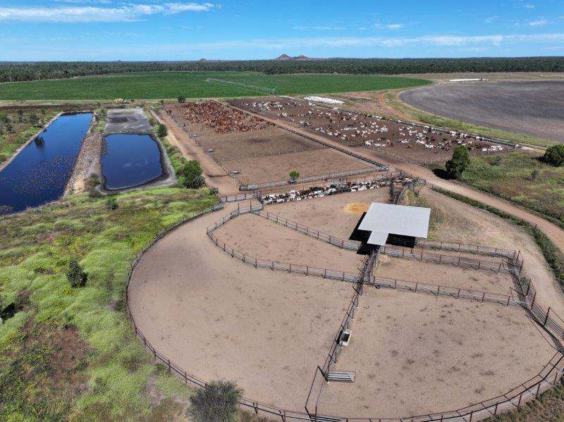 312 Anabranch Road, Breddan Sold by Farmbuy.com - image 4