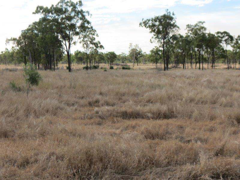 312 Anabranch Road, Breddan Sold by Farmbuy.com - image 32