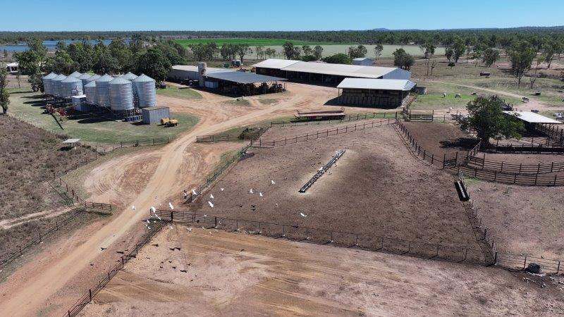 312 Anabranch Road, Breddan Sold by Farmbuy.com - image 5