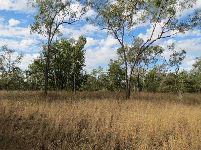 312 Anabranch Road, Breddan Sold by Farmbuy.com - image 36