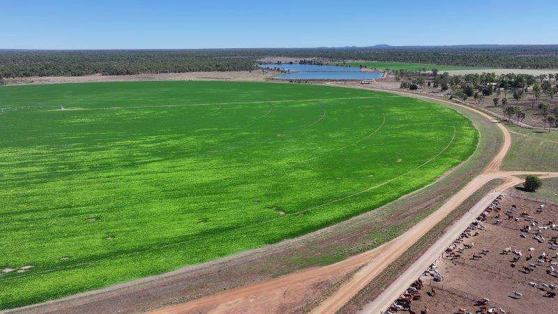 312 Anabranch Road, Breddan Sold by Farmbuy.com - image 21
