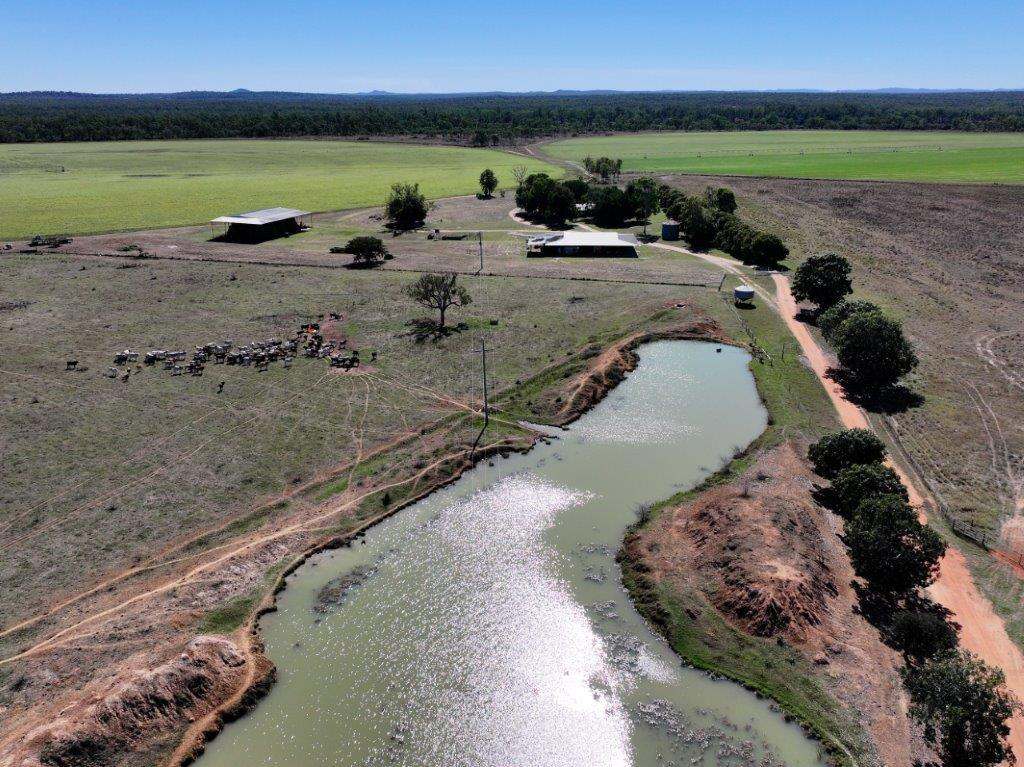 132 Riverview Road, Breddan Sold by Farmbuy.com - image 7