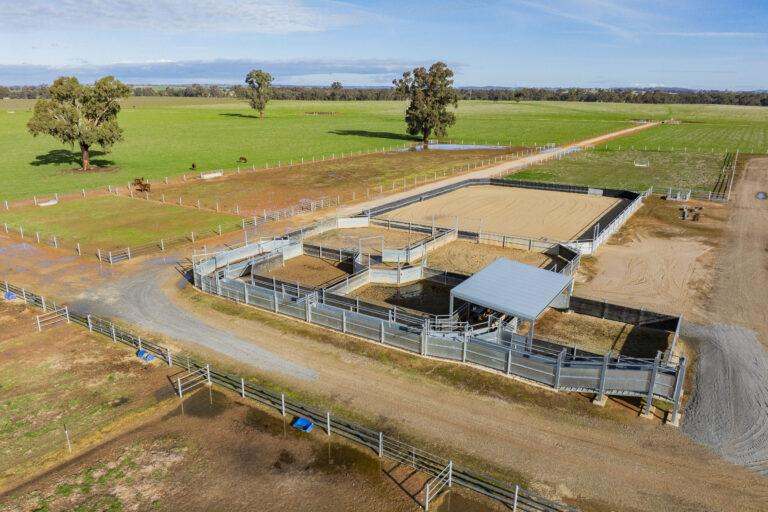 4646 Holbrook Road, Mangoplah Auction by Farmbuy.com - image 28