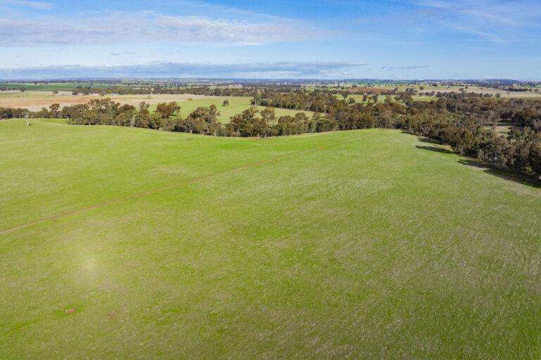 4646 Holbrook Road, Mangoplah Auction by Farmbuy.com - image 48